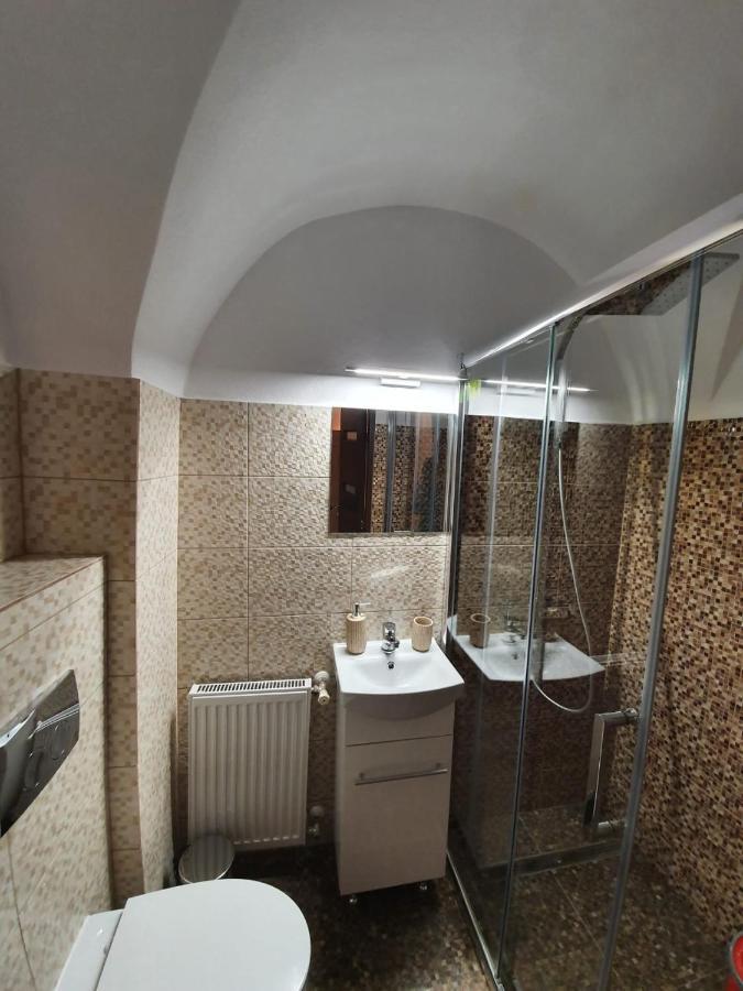 시비우 Radu Apartament 아파트 외부 사진