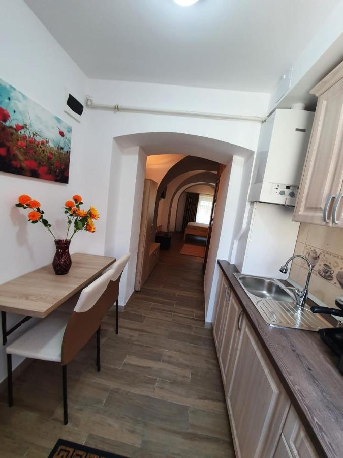 시비우 Radu Apartament 아파트 외부 사진