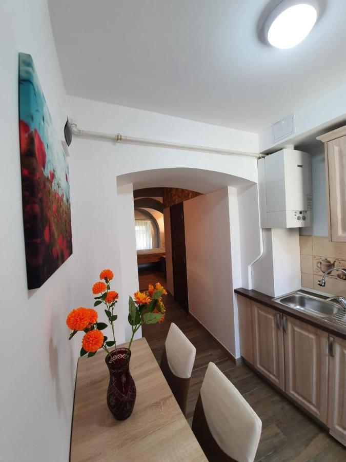 시비우 Radu Apartament 아파트 외부 사진